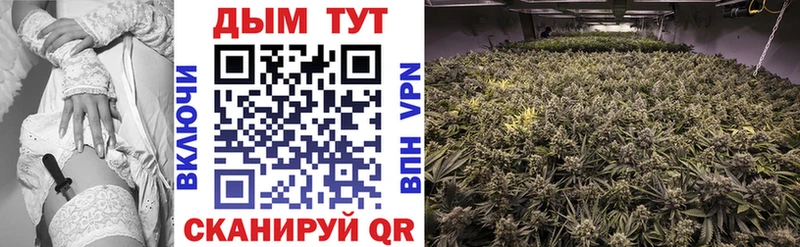 Шишки марихуана Bruce Banner Белёв